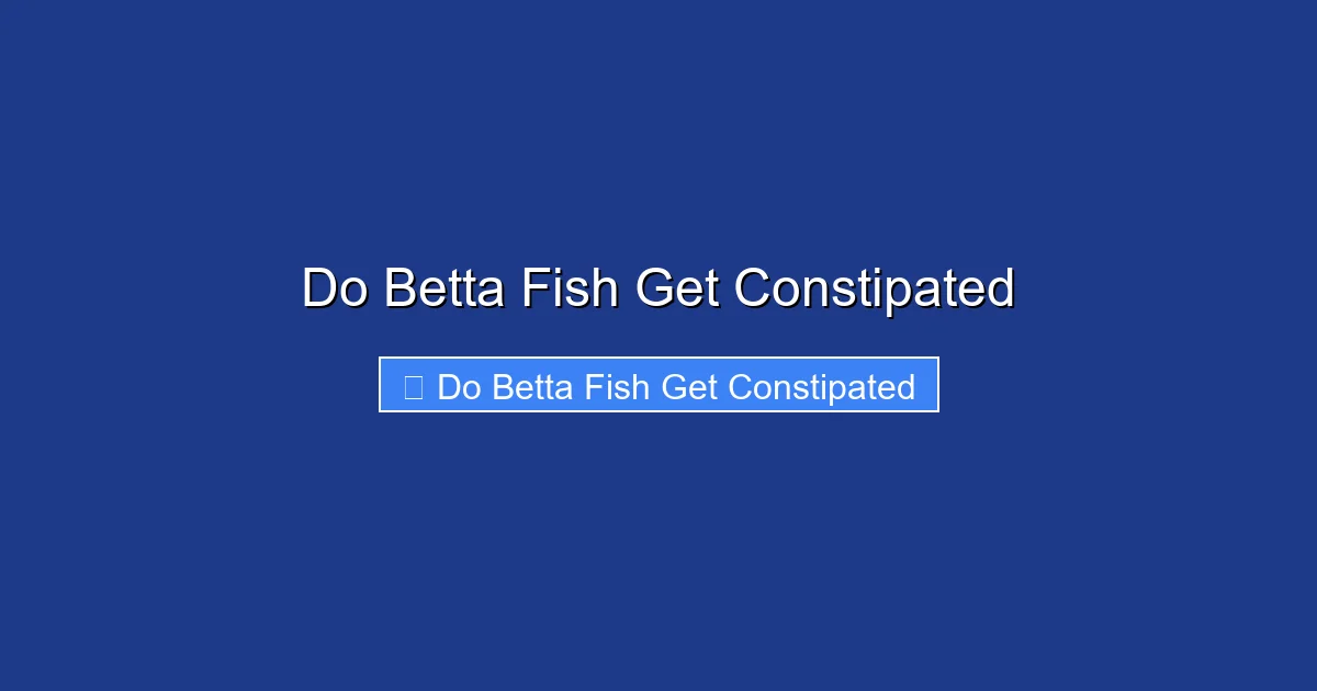 Do Betta Fish Get Constipated