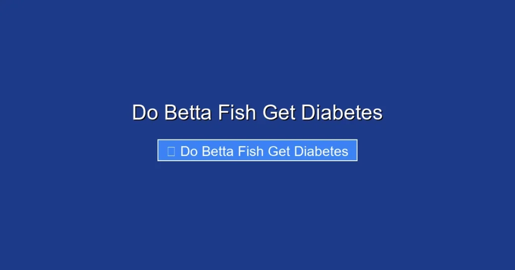 Do Betta Fish Get Diabetes