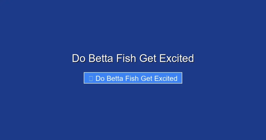Do Betta Fish Get Excited