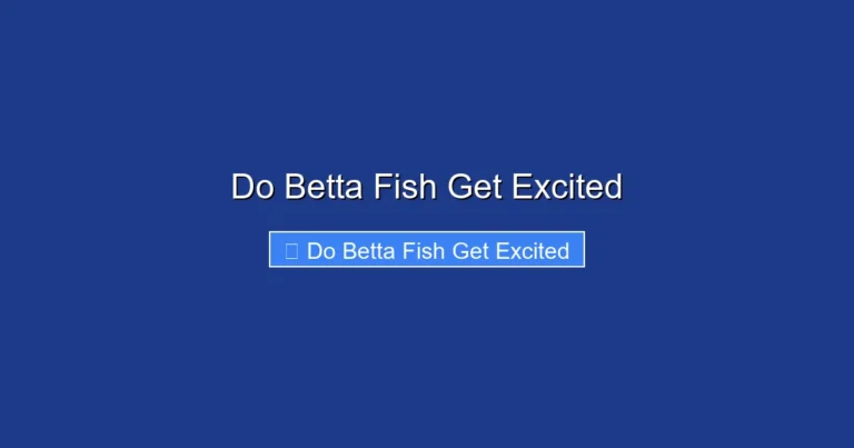 Do Betta Fish Get Excited