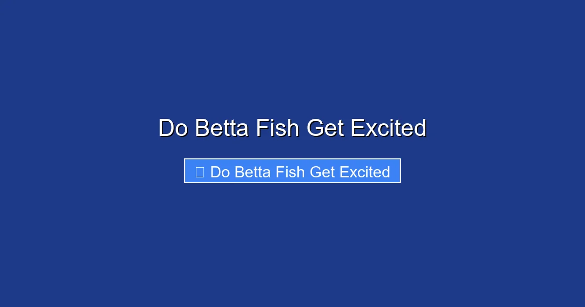 Do Betta Fish Get Excited