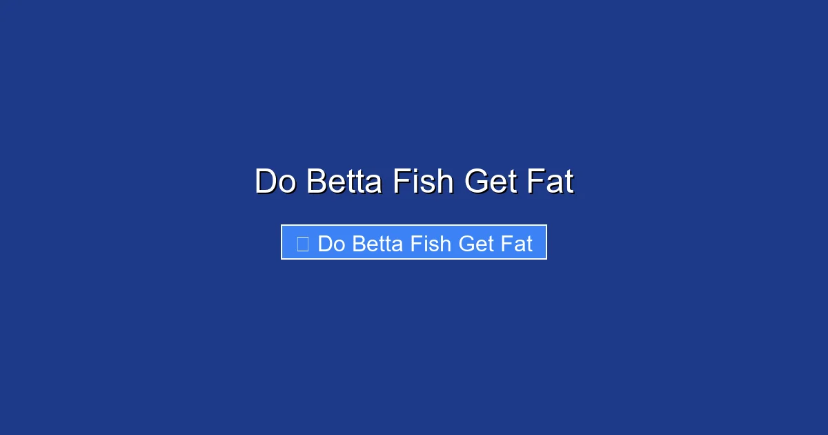 Do Betta Fish Get Fat