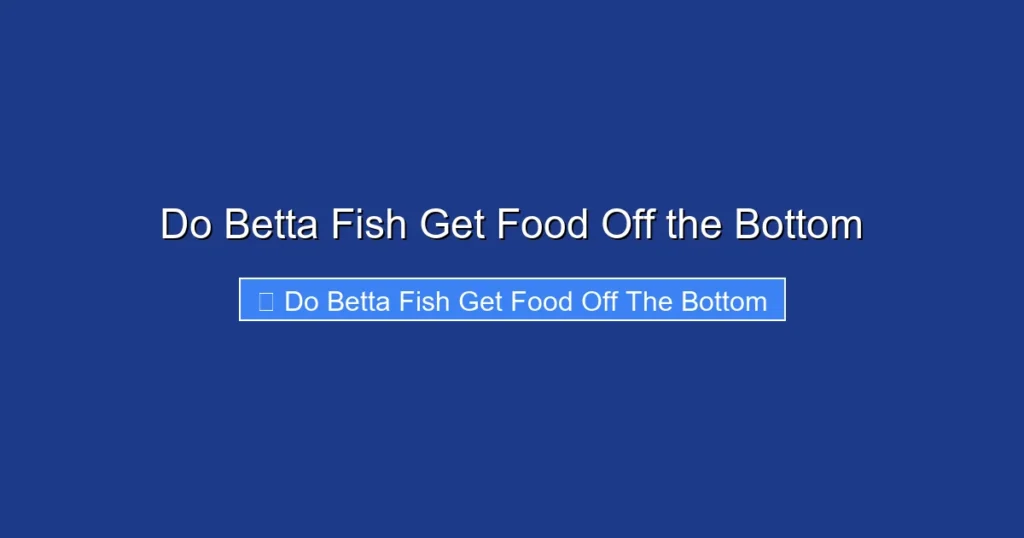 Do Betta Fish Get Food Off the Bottom