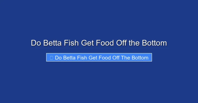 Do Betta Fish Get Food Off the Bottom