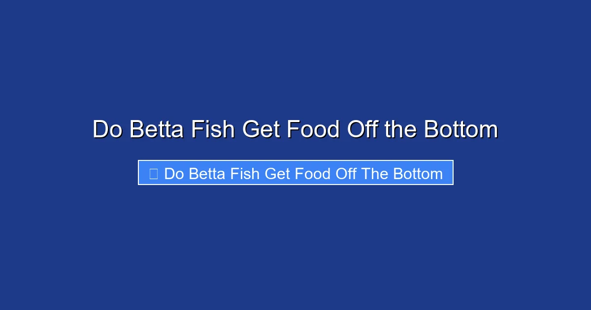Do Betta Fish Get Food Off the Bottom