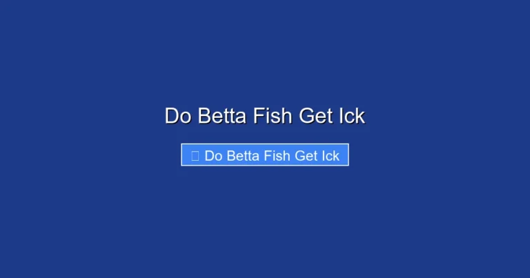 Do Betta Fish Get Ick