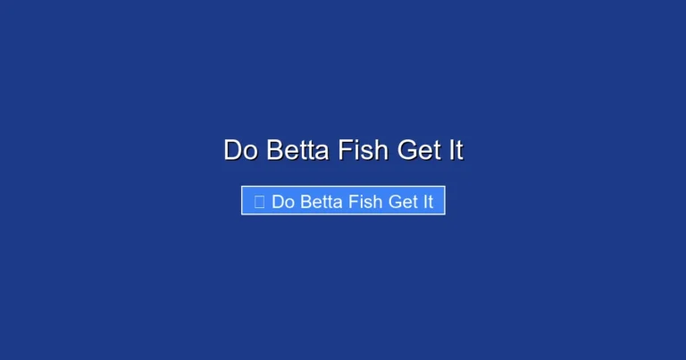 Do Betta Fish Get It