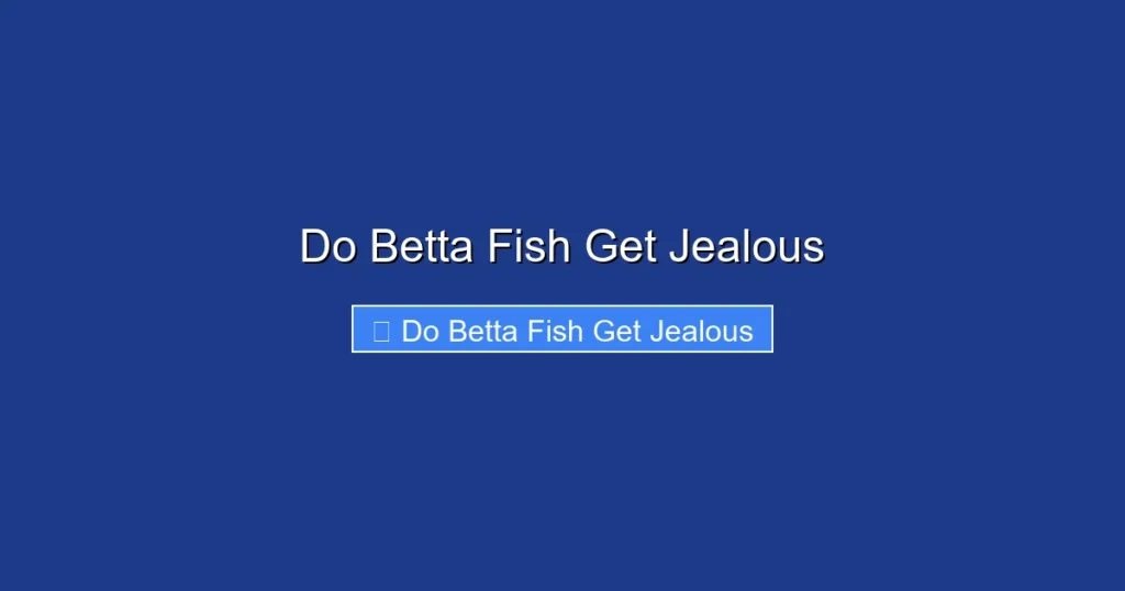 Do Betta Fish Get Jealous