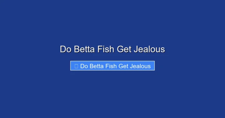 Do Betta Fish Get Jealous