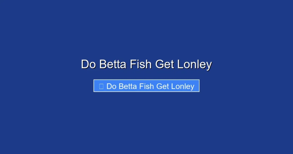 Do Betta Fish Get Lonley