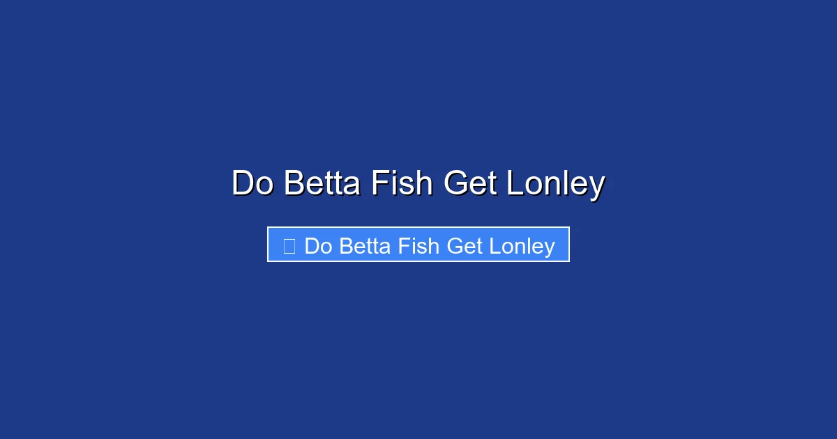 Do Betta Fish Get Lonley