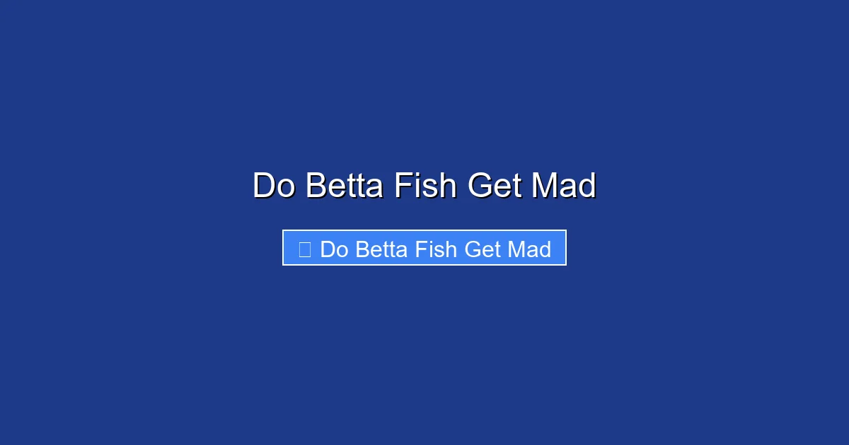 Do Betta Fish Get Mad