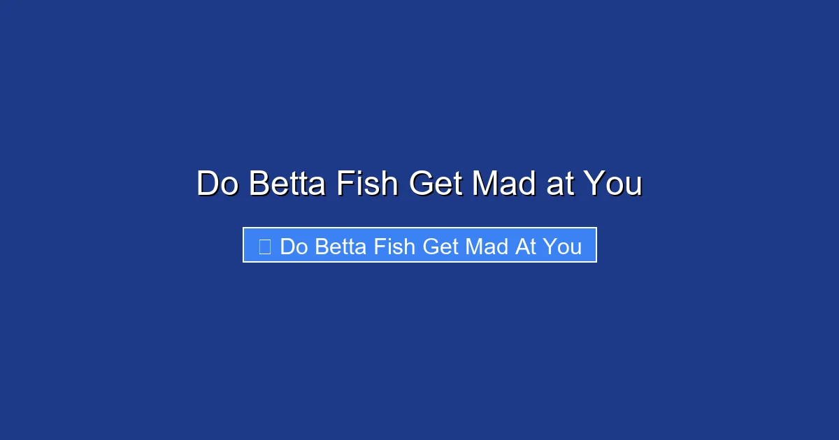 Do Betta Fish Get Mad at You