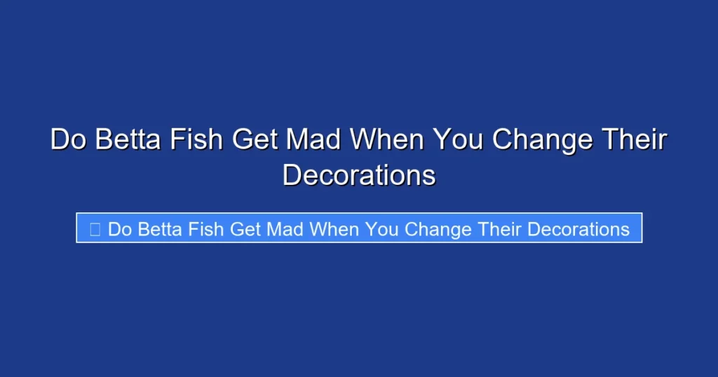 Do Betta Fish Get Mad When You Change Their Decorations