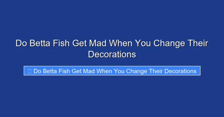 Do Betta Fish Get Mad When You Change Their Decorations
