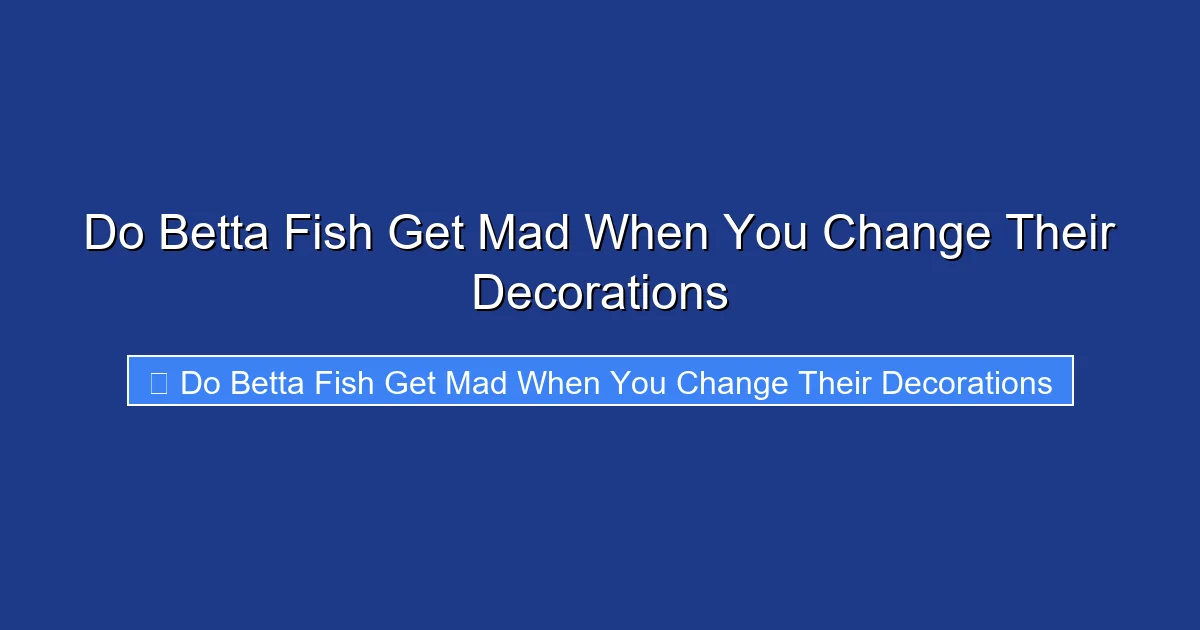 Do Betta Fish Get Mad When You Change Their Decorations