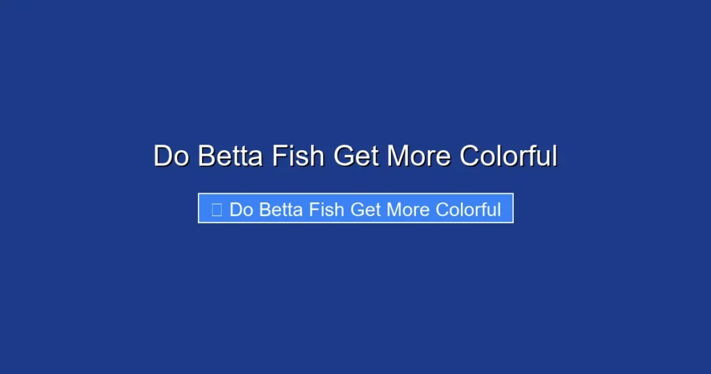 Do Betta Fish Get More Colorful