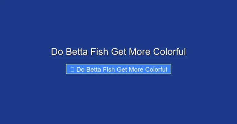 Do Betta Fish Get More Colorful