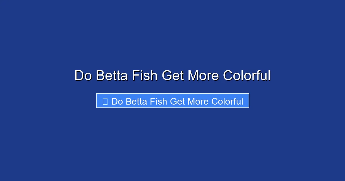 Do Betta Fish Get More Colorful