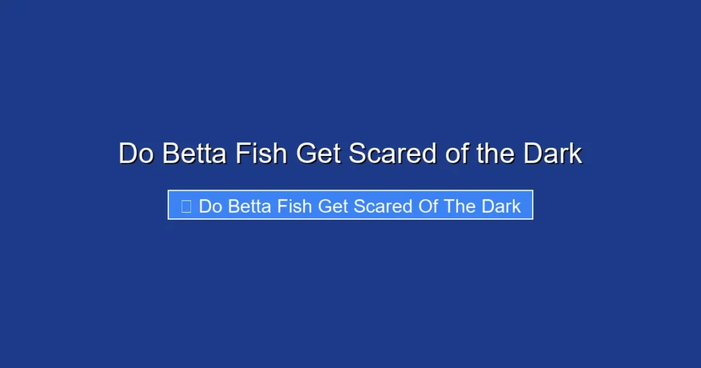 Do Betta Fish Get Scared of the Dark