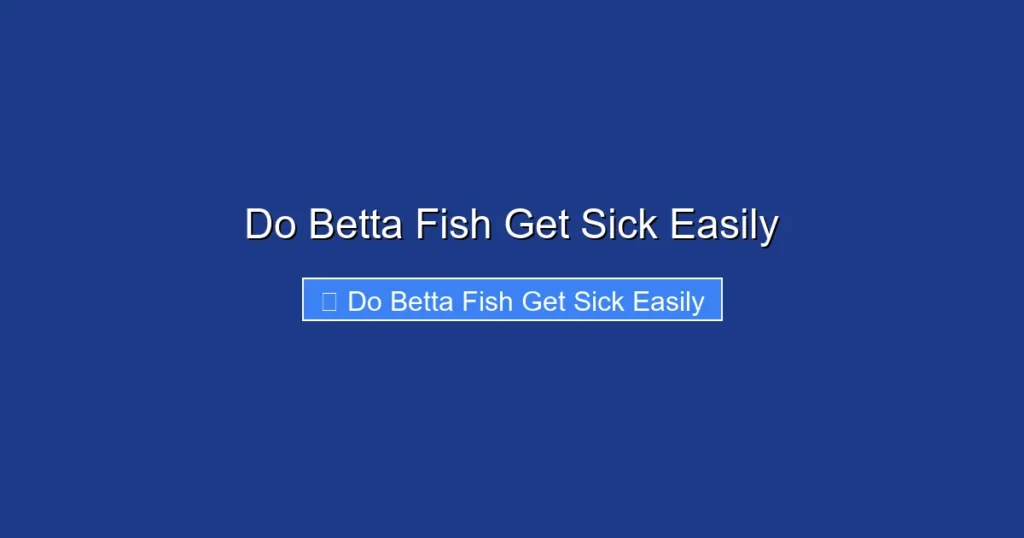 Do Betta Fish Get Sick Easily