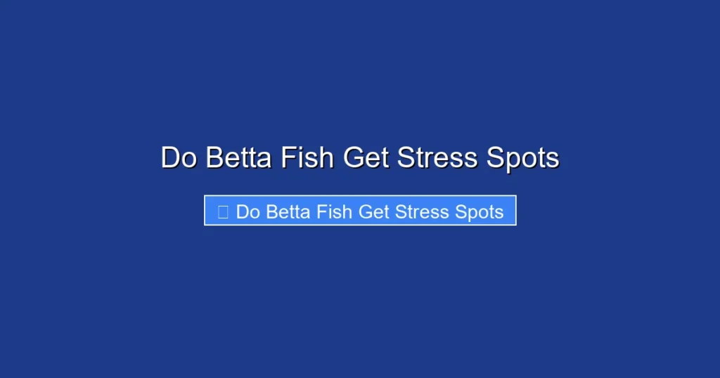 Do Betta Fish Get Stress Spots