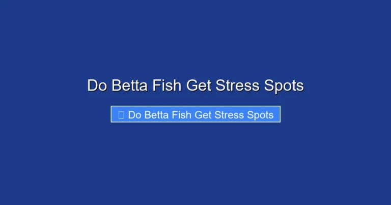 Do Betta Fish Get Stress Spots