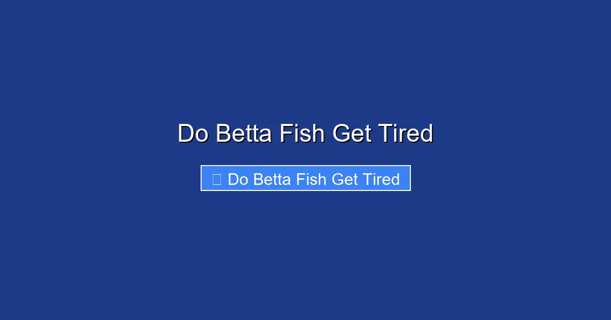 Do Betta Fish Get Tired