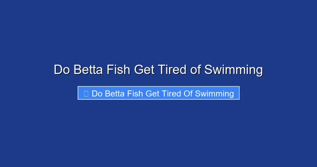 Do Betta Fish Get Tired of Swimming