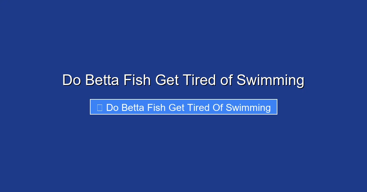 Do Betta Fish Get Tired of Swimming