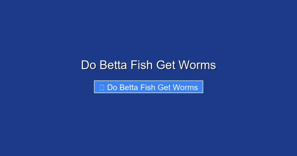 Do Betta Fish Get Worms