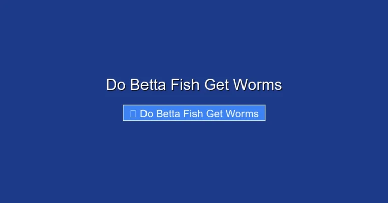 Do Betta Fish Get Worms