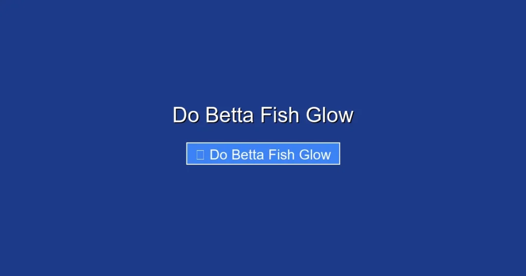Do Betta Fish Glow