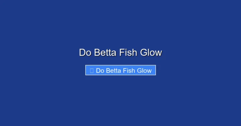 Do Betta Fish Glow
