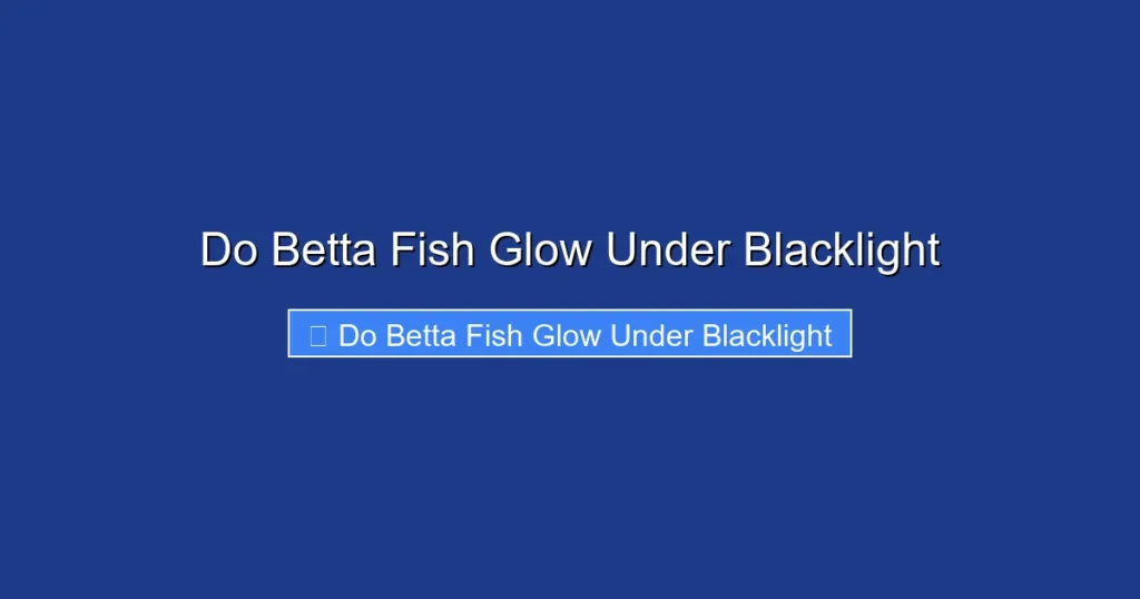 Do Betta Fish Glow Under Blacklight