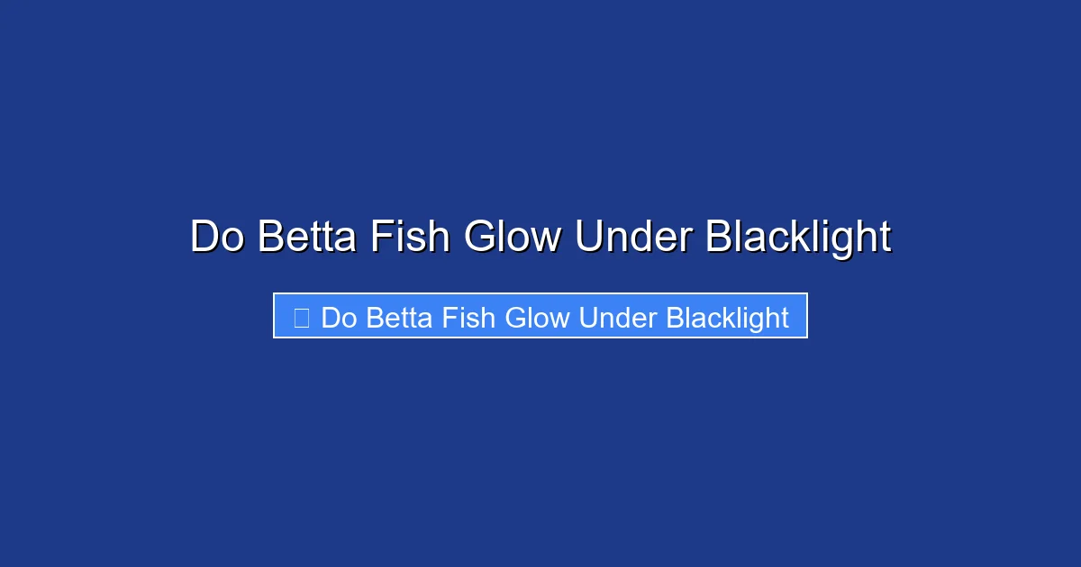 Do Betta Fish Glow Under Blacklight