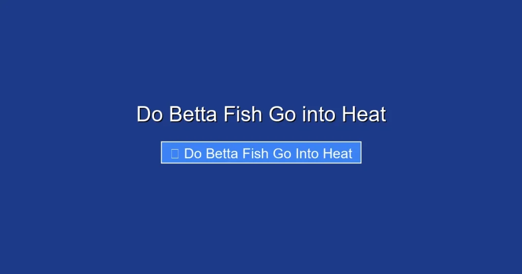 Do Betta Fish Go into Heat