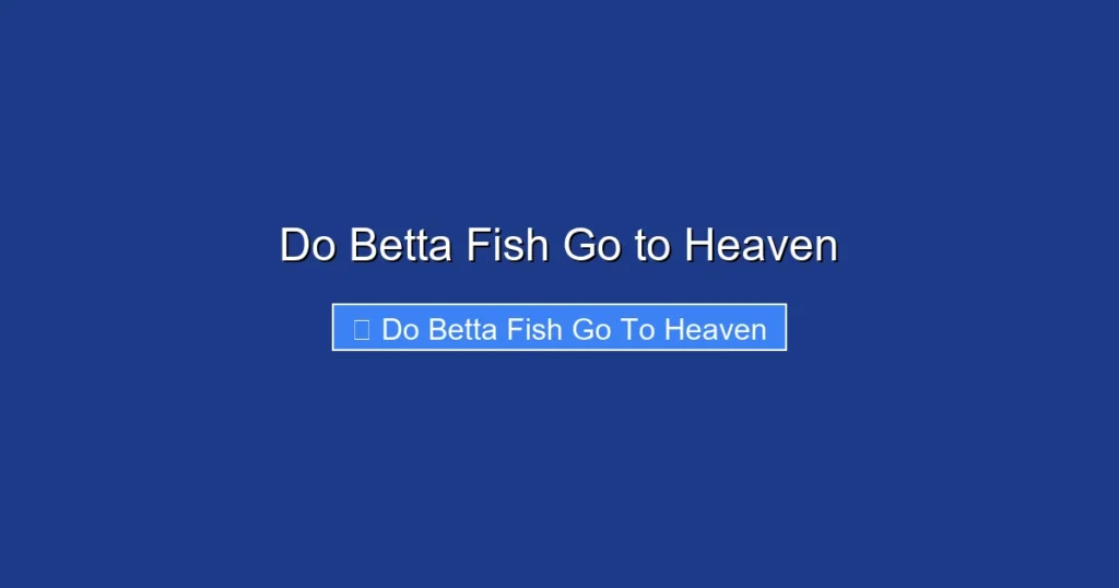Do Betta Fish Go to Heaven