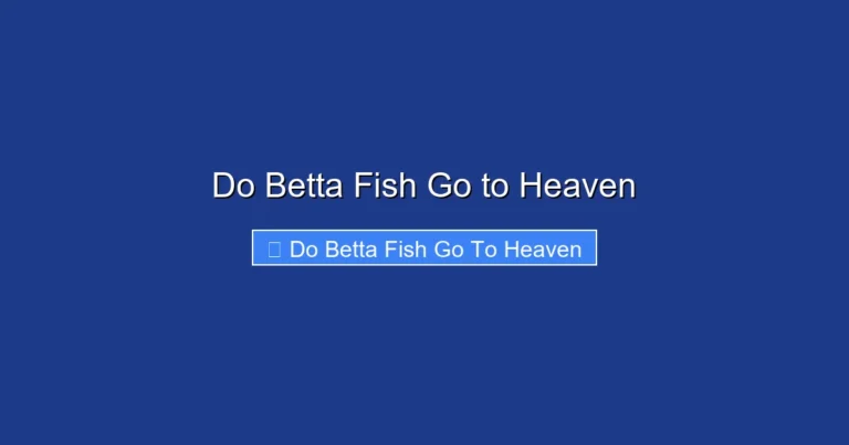 Do Betta Fish Go to Heaven