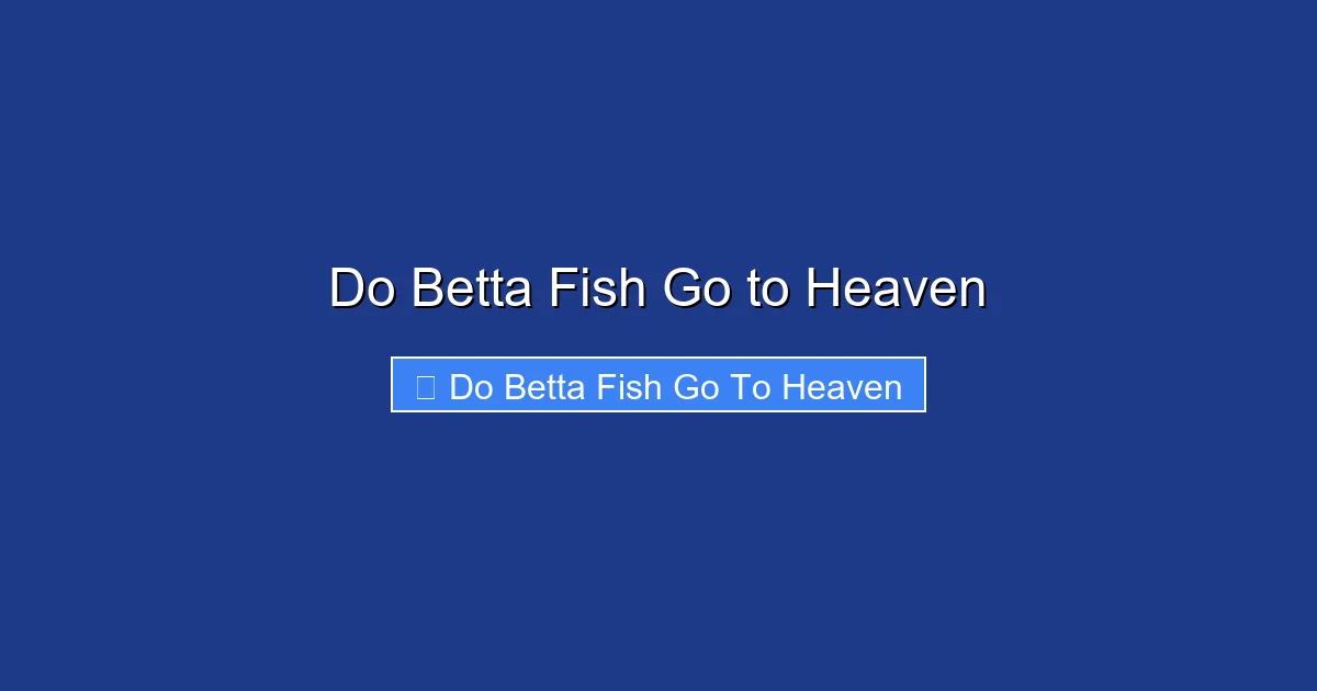 Do Betta Fish Go to Heaven