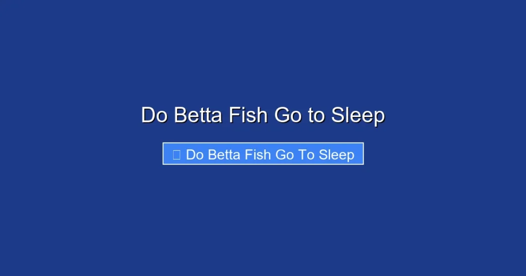Do Betta Fish Go to Sleep