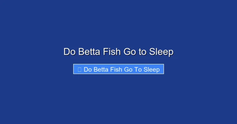 Do Betta Fish Go to Sleep
