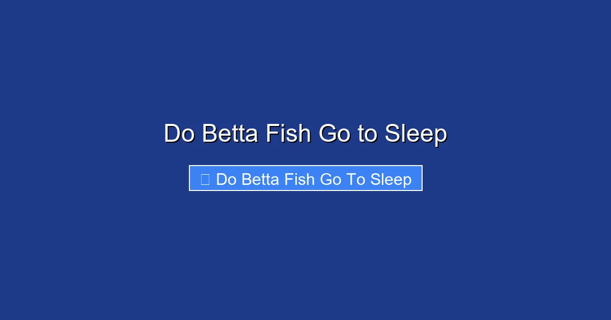 Do Betta Fish Go to Sleep