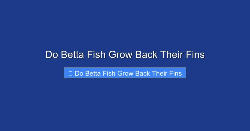 Do Betta Fish Grow Back Their Fins