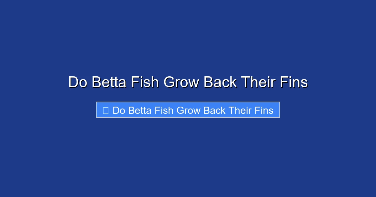 Do Betta Fish Grow Back Their Fins