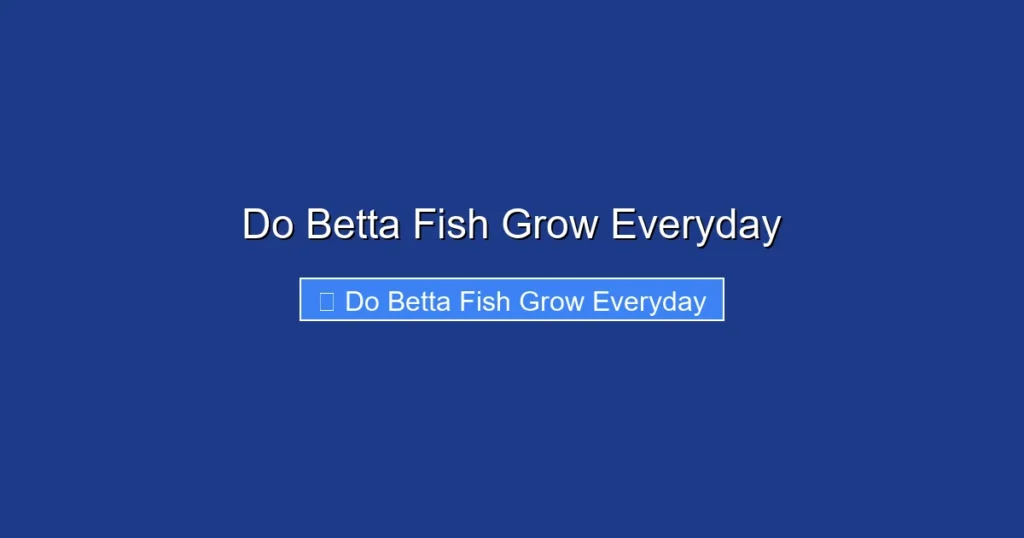 Do Betta Fish Grow Everyday