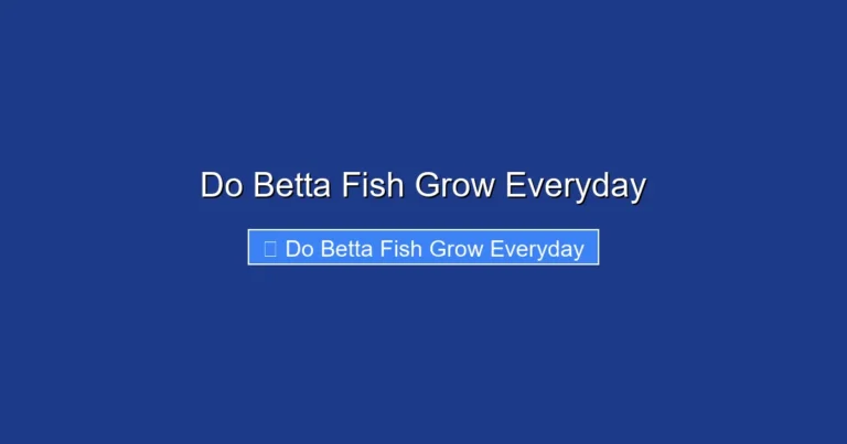 Do Betta Fish Grow Everyday