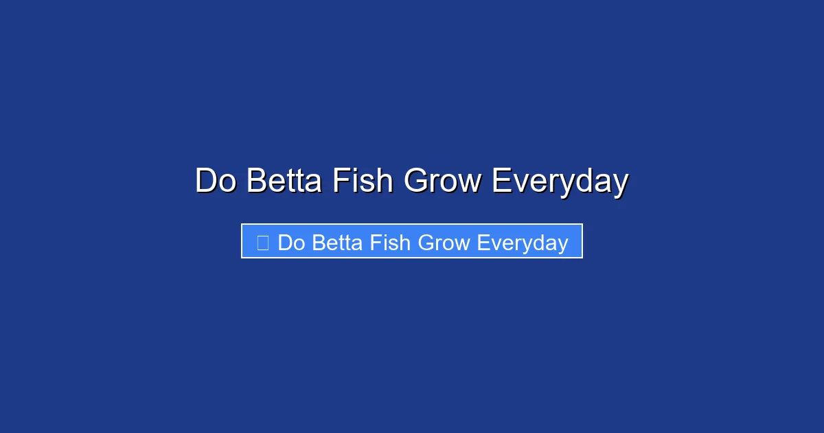 Do Betta Fish Grow Everyday