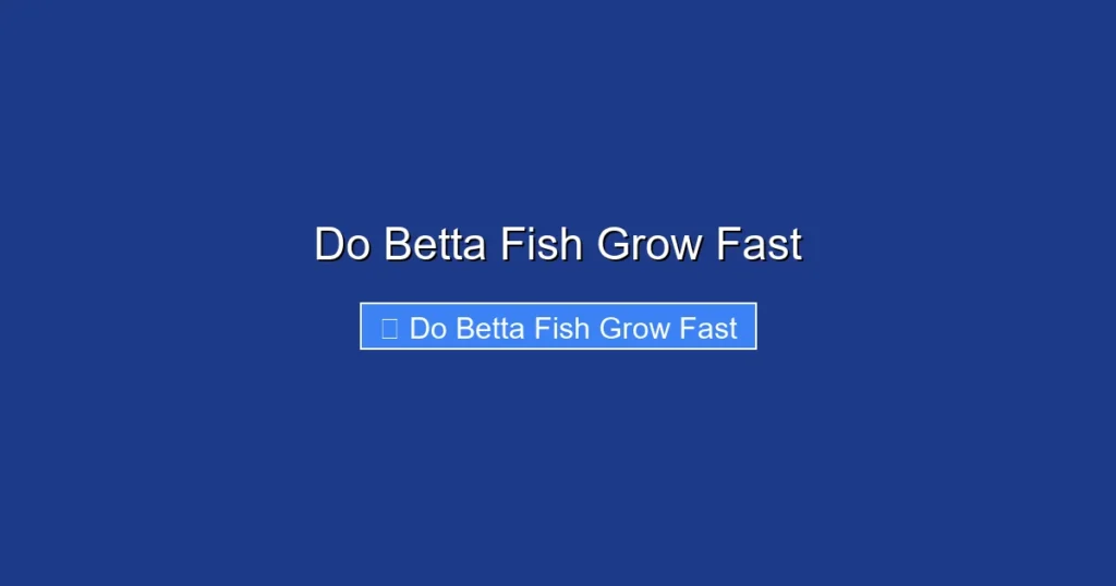 Do Betta Fish Grow Fast