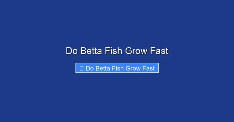 Do Betta Fish Grow Fast